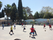 بالصور: انطلاق دوري التسامح والاحترام في المدرسة الراشدية بمدينة اللد 